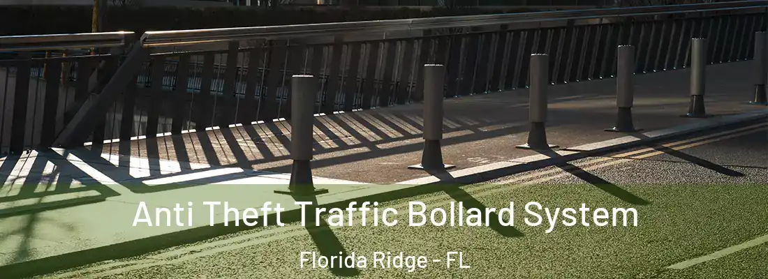 Anti Theft Traffic Bollard System Florida Ridge - FL