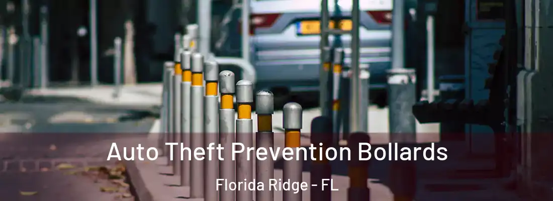 Auto Theft Prevention Bollards Florida Ridge - FL