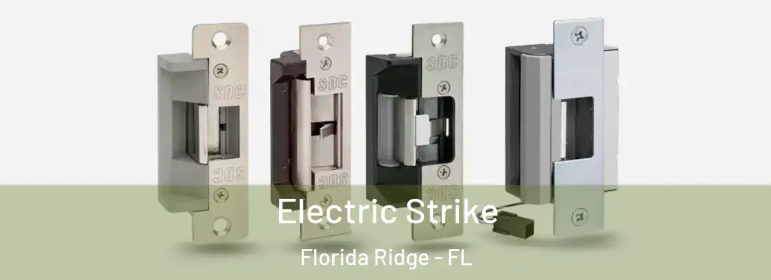 Electric Strike Florida Ridge - FL