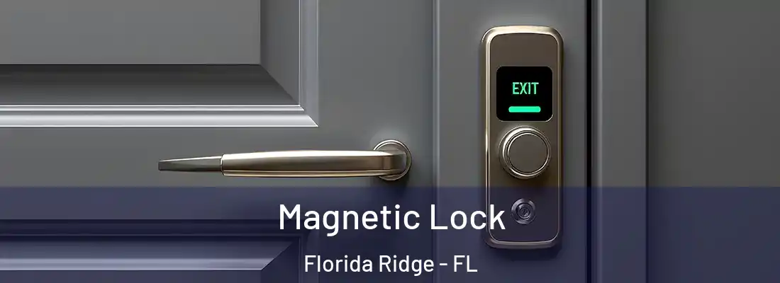 Magnetic Lock Florida Ridge - FL